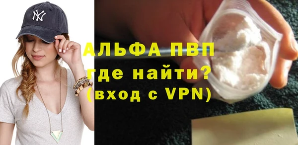 сатива Карпинск
