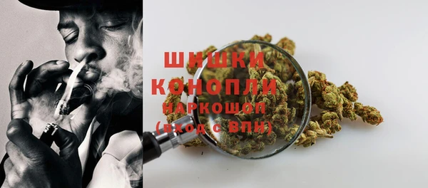 сатива Карпинск