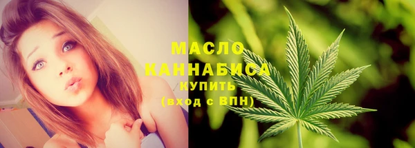сатива Карпинск