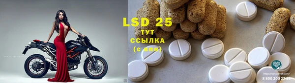 сатива Карпинск