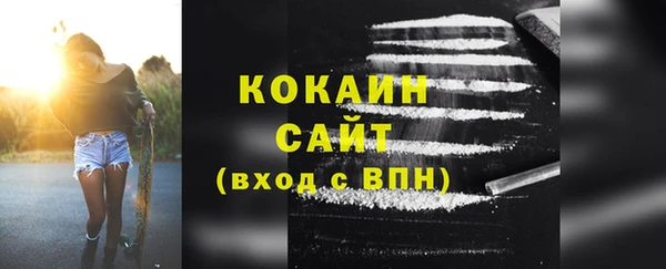 сатива Карпинск