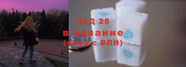 сатива Карпинск
