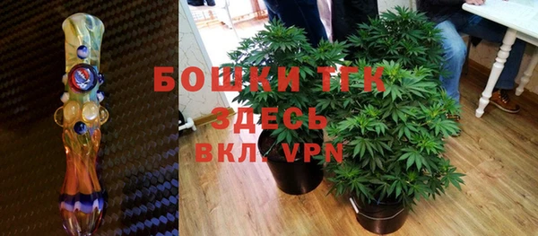 сатива Карпинск