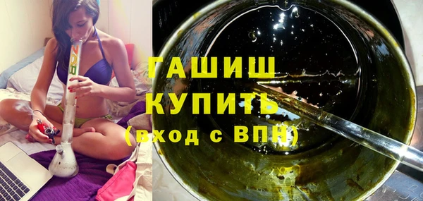сатива Карпинск