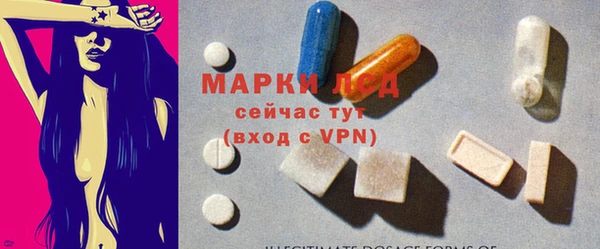 сатива Карпинск