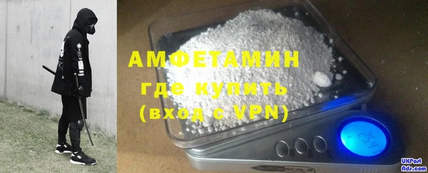 сатива Карпинск