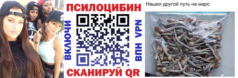 Галлюциногенные грибы MAGIC MUSHROOMS Купить где Белокуриха